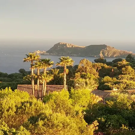 Elegante A + Piscine *